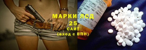 гидра Богородск