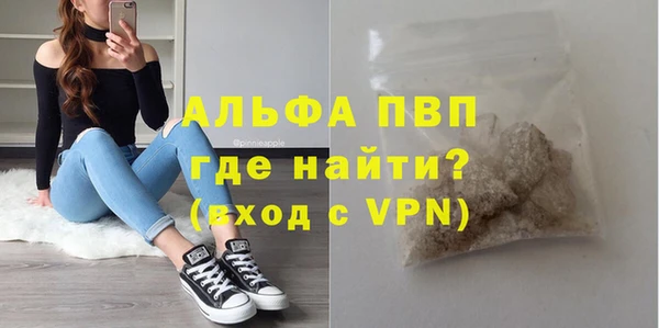 гидра Богородск