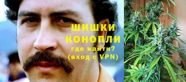гидра Богородск