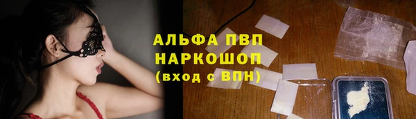 гидра Богородск