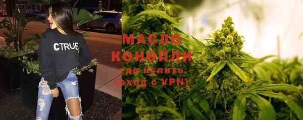 гидра Богородск