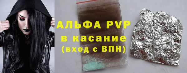 гидра Богородск