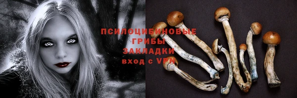 гидра Богородск